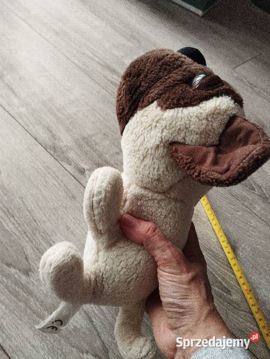 pies pluszak maskotka kolejny wielkopolskie