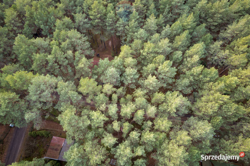 Sprzedażdziałka z MPZP1900 m2Łosie Radzymin sprzedam