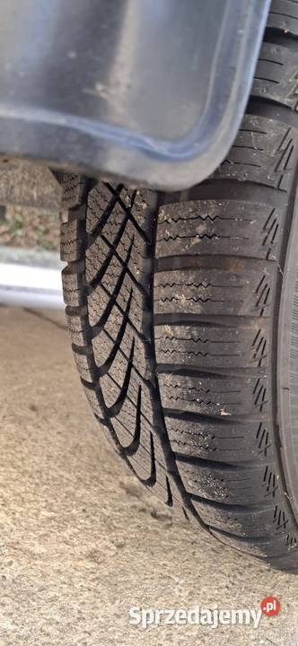 Przyczepa do przewozu psów Tczew