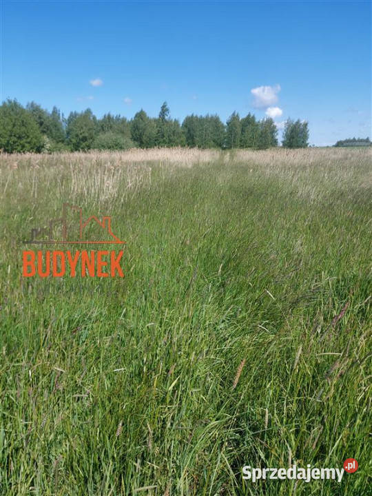 Działka budowlana Darłowo 41m Sprzedaż