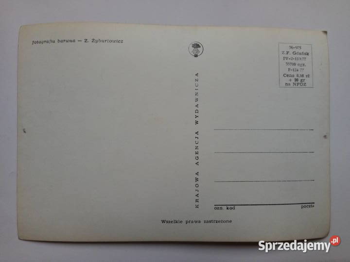 27 Pocztówka z psem 1977r PRLu KOLEKCJA Dąbrowa Górnicza