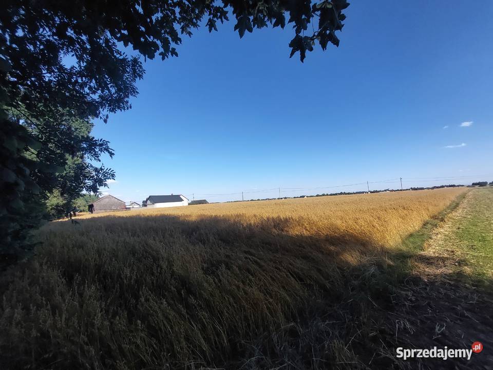 Działka budowlana rw spokojnej okolicyCeliny Celiny