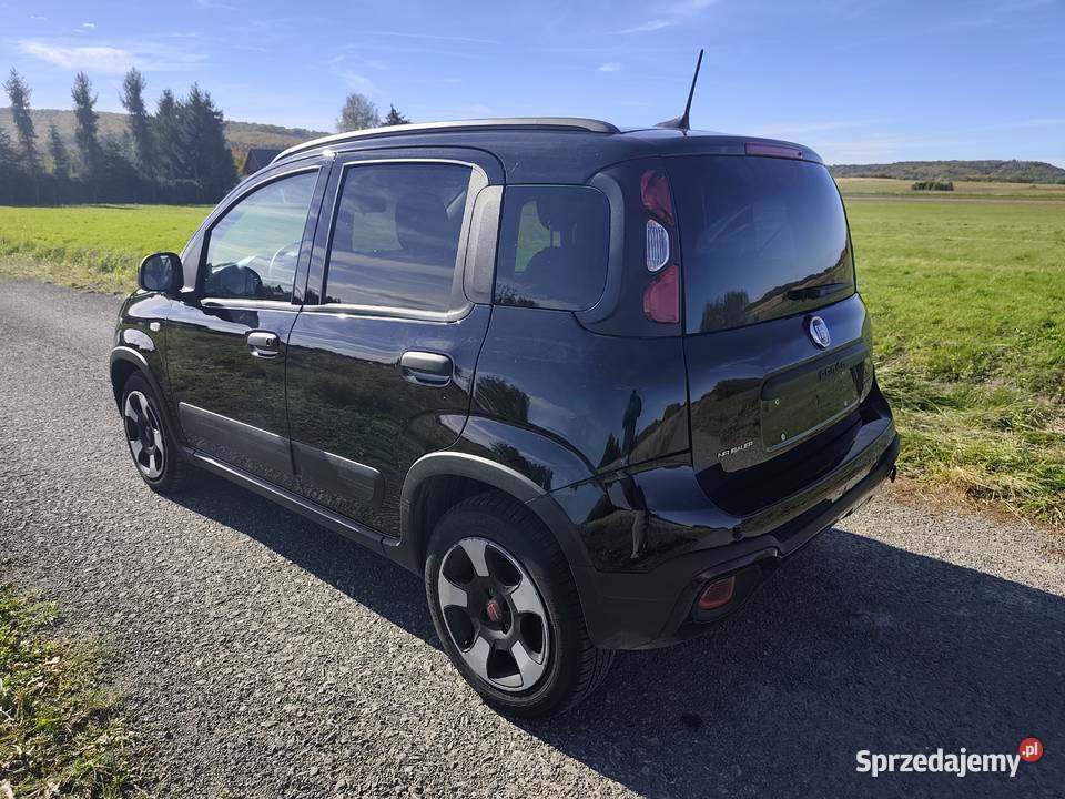 Fiat Panda podkarpackie