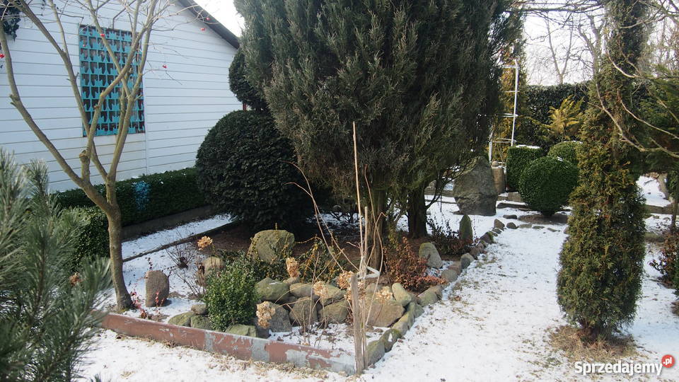 ogródek działkowy mazowieckie Sochaczew