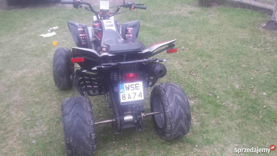 Bashan BLIZZER 200 nieuszkodzony Bashan Sierpc