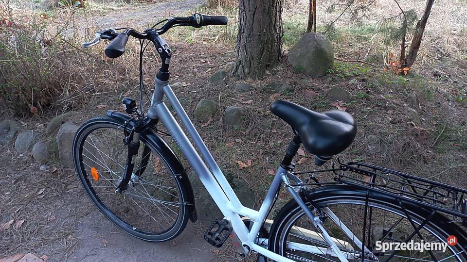Alu Rower Miejski Damski Curtis Damka Nexus 7 Miejskie dolnośląskie Wołów