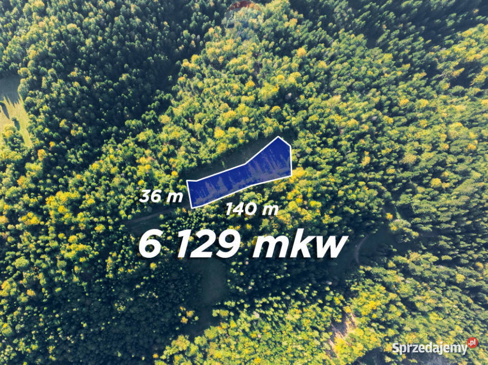 Polana w lesie 35m Harklowa