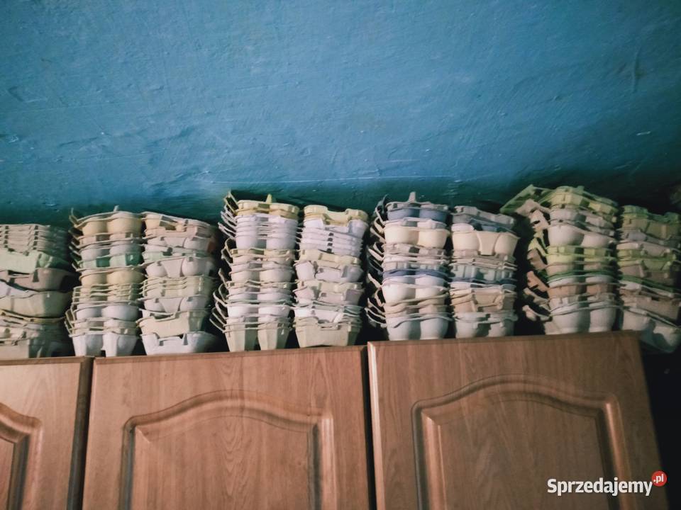 Wytłaczanka na jaja kurze używane Zamość sprzedam