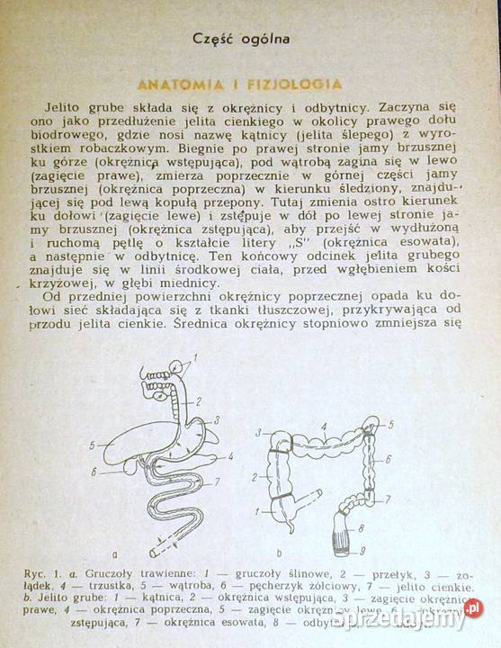Hemoroidy a choroby proktologiczne Mieczysław