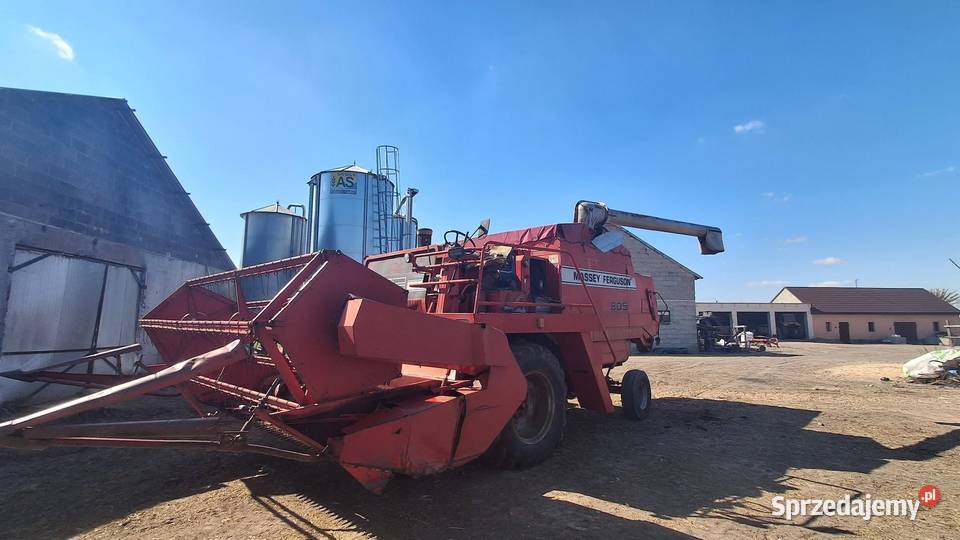 Kombajn Massey Ferguson MF 805 Dąbie