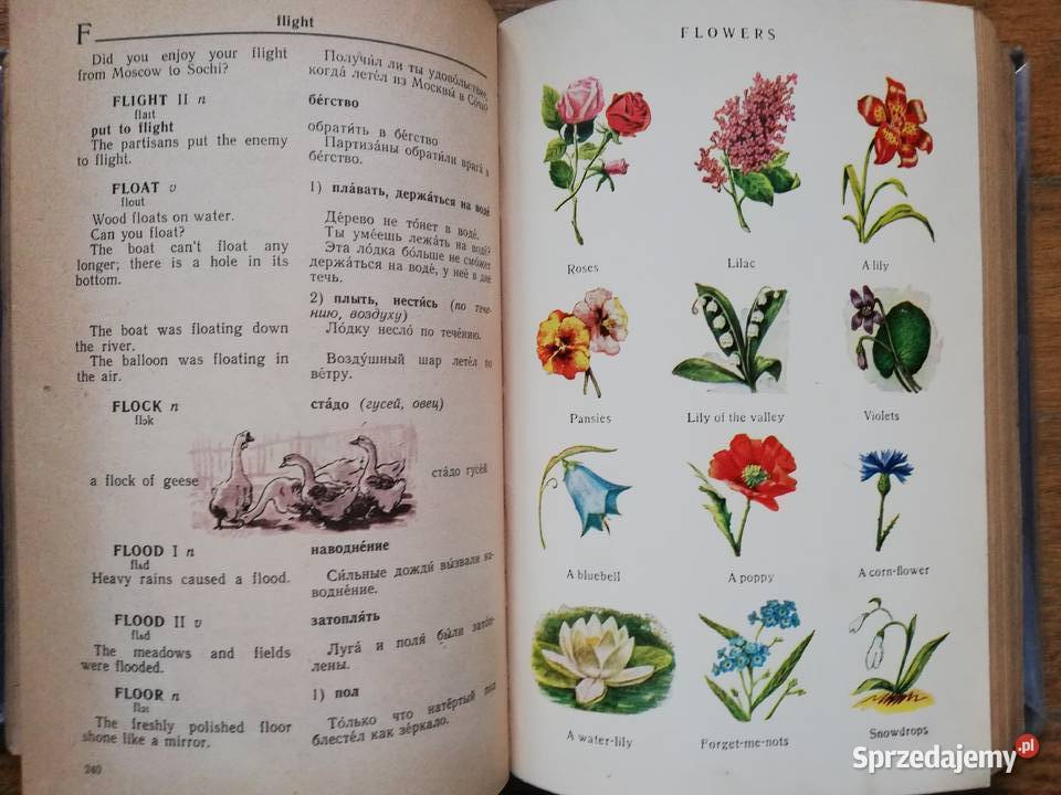 AngielskoRosyjski słownik z ilustracjami Książki do nauki języka obcego Kraków