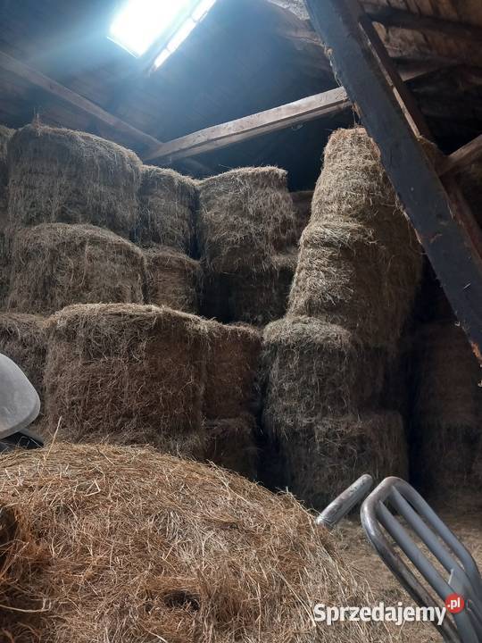 Siano w belach ze stodoły Trawy, słoma Rolnictwo Jasin