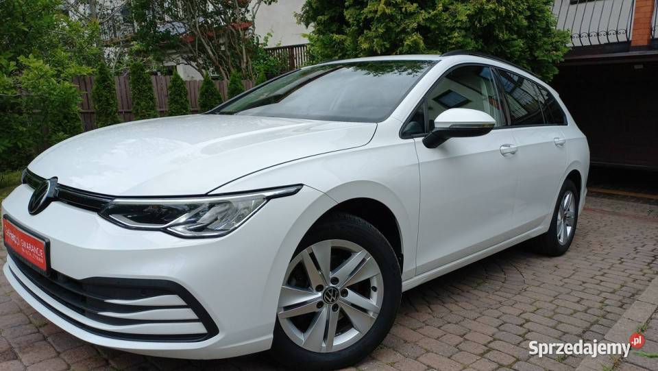 Volkswagen Golf DSG15 Mhev eTSI EVO Salon Pełen system Start-Stop Gdańsk sprzedam
