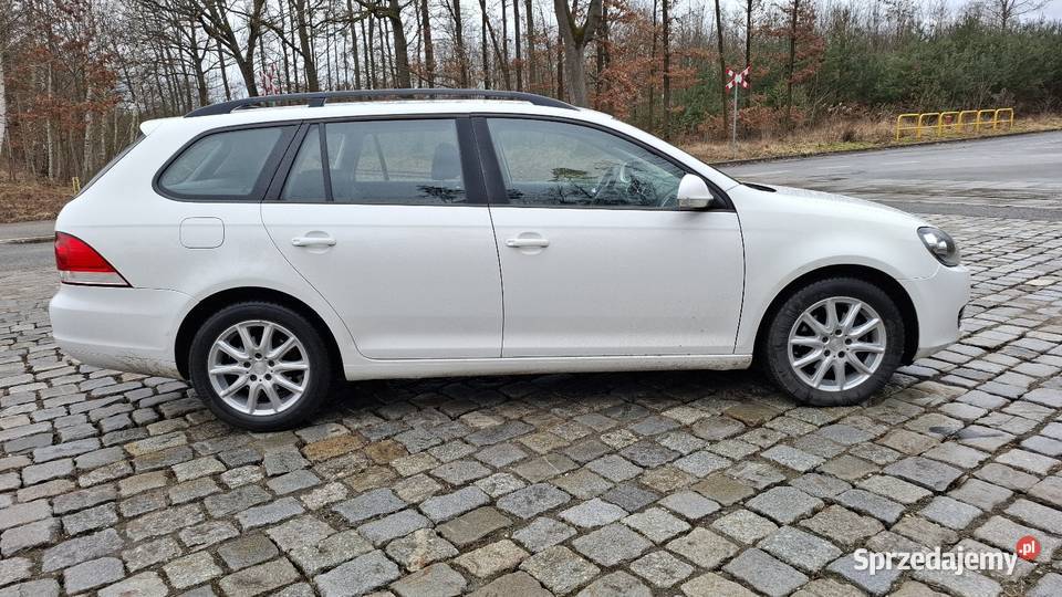 Vw Golf VI 16tdi 201213 4/5 Golf Polska Nowa Wieś