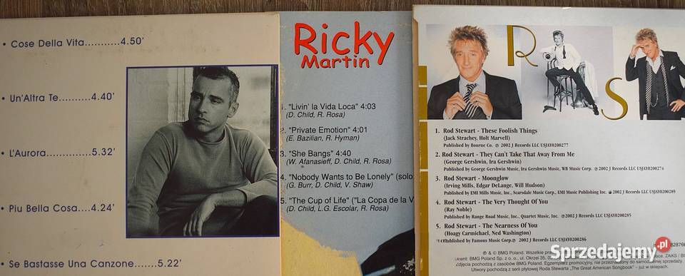 Ricky Martin Rad Stewart Eros Ramazzotti Chełmno