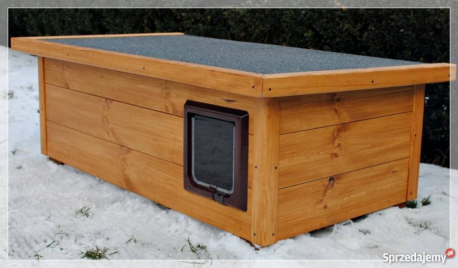 Buda 23 kotów z przedsionkiem i drzwiczkami