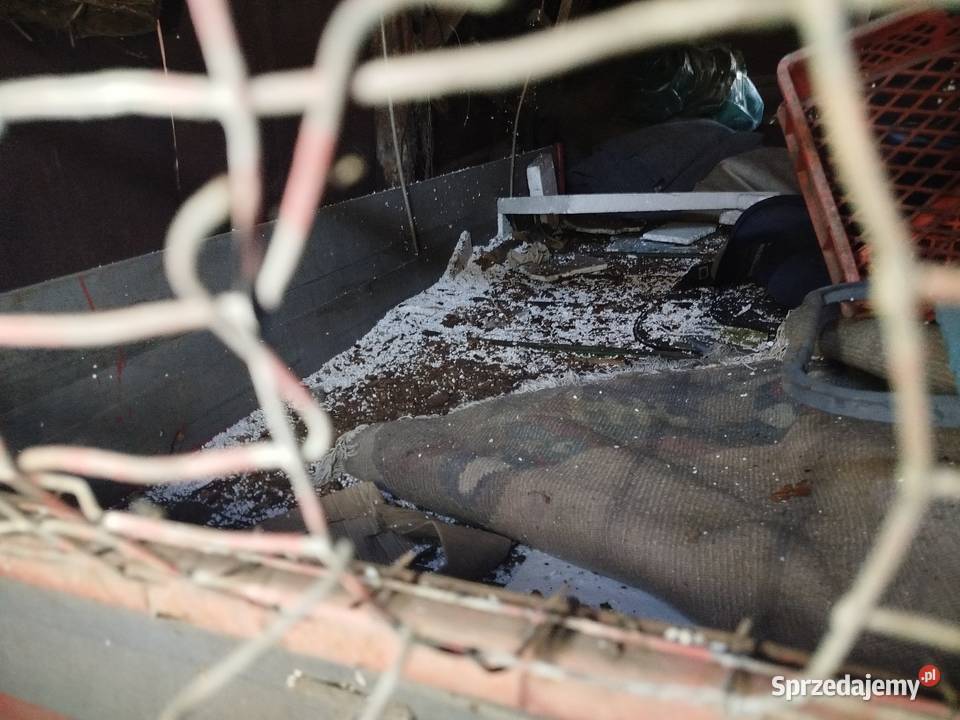 Rozrzutnik obornika 1 osiowy Chojno-Błota Wielkie