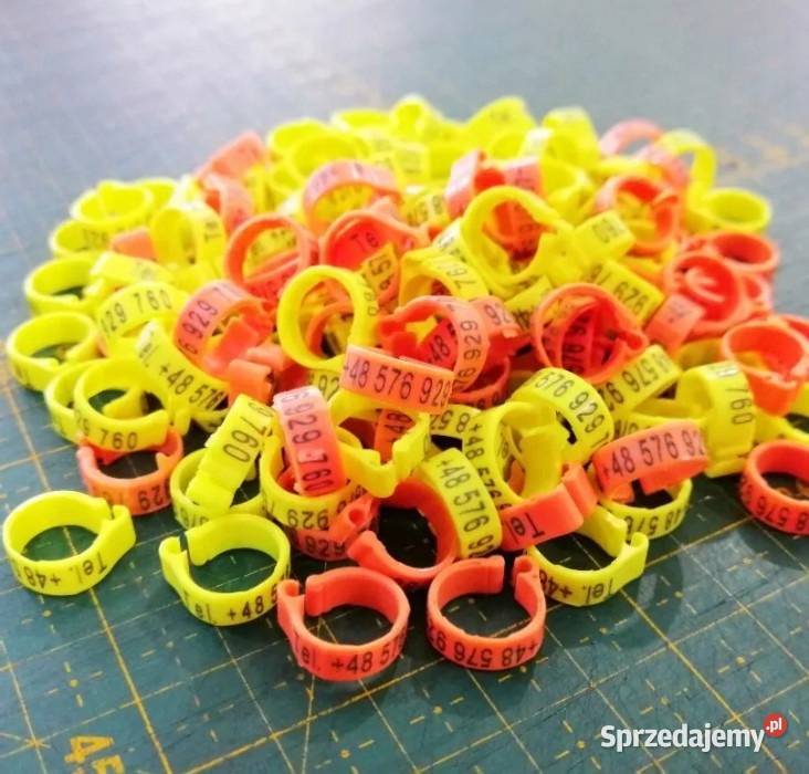 Naklejki na Tipesy Znaczniki Gołębie na obrączki sprzedam