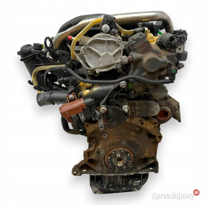 SILNIK G6DG Ford Kuga 20 TDCI 136 diesel osobowe Chełm