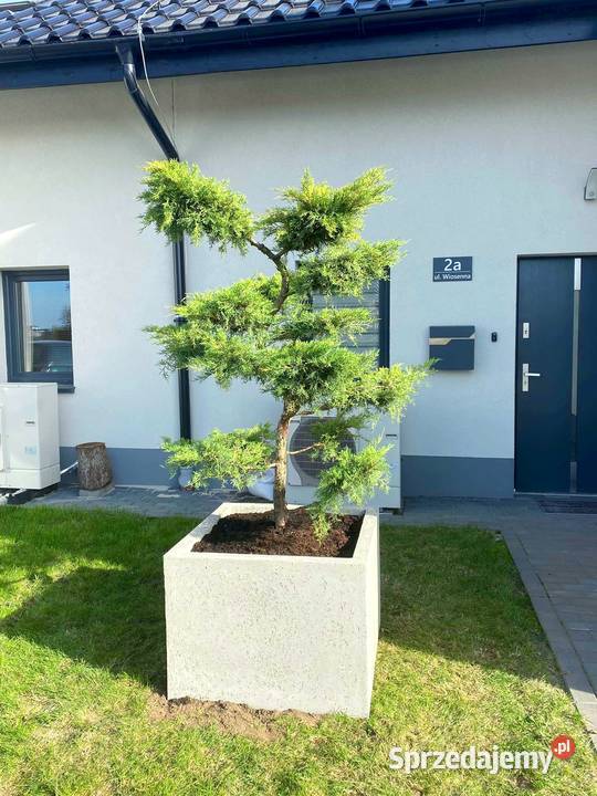 Donice ogrodowe termo Różne wykończenia Dowolne Donice ogrodowe