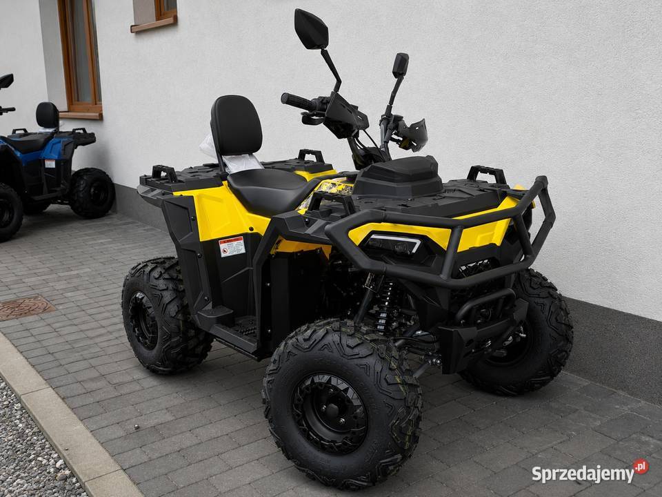 Quad Berreta MKX Mikilon 125 Scream Bulldog Nowy świętokrzyskie Bieliny