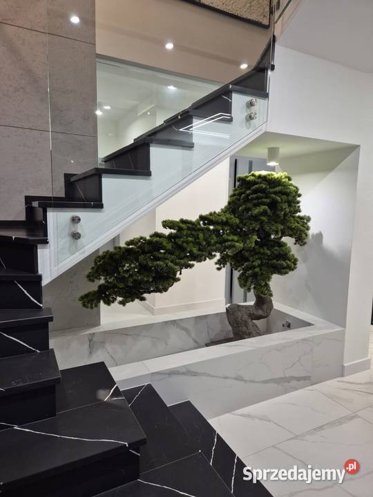 Sztuczne drzewko Bonsai Premium 165x90x200 Dekoracje i ozdoby małopolskie Golkowice