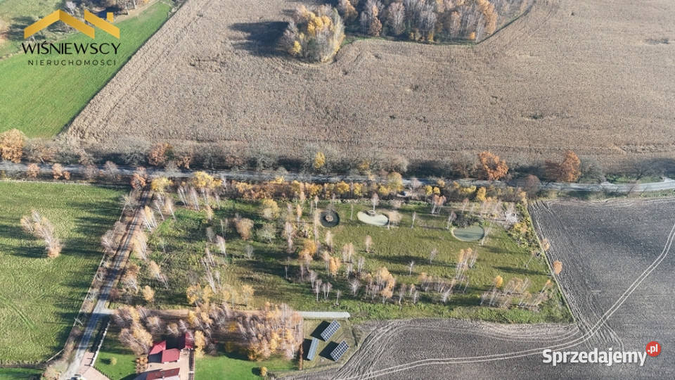 Dawidy działka z WZ 3001 m