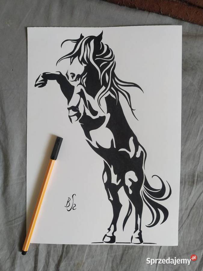 Rysunek koń cienk blok t A4 250 gm2 Malarstwo Warszawa