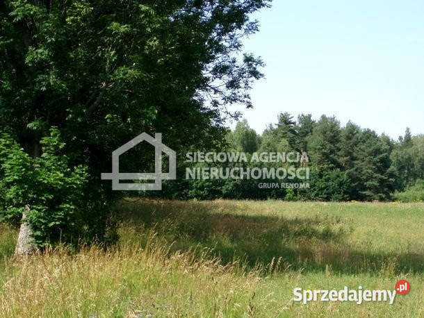 Działka 3015 metrów Wrzeście woda