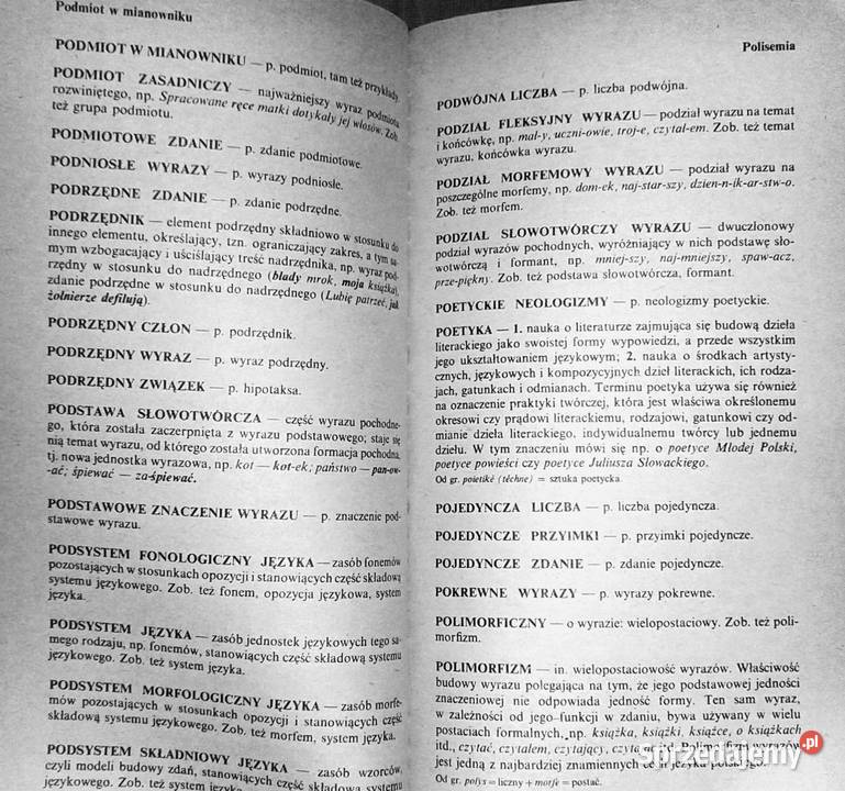 Szkolny słownik terminów nauki o języku Jan Chełm