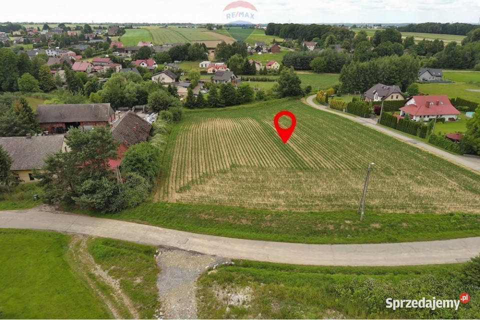 Działki budowlane Bestwina Hallera asfalt