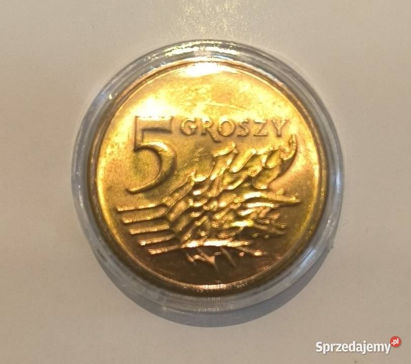 5 groszy 1993r W kapslu ochronnym Lębork