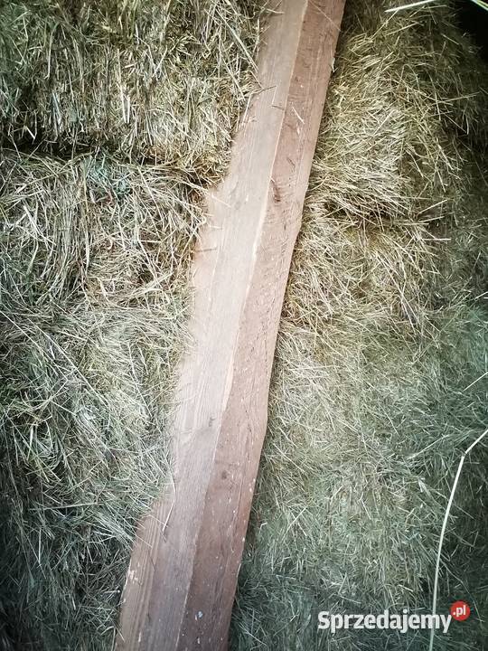 Siano kostka 1pokos 2024 Ostrzeszów sprzedam