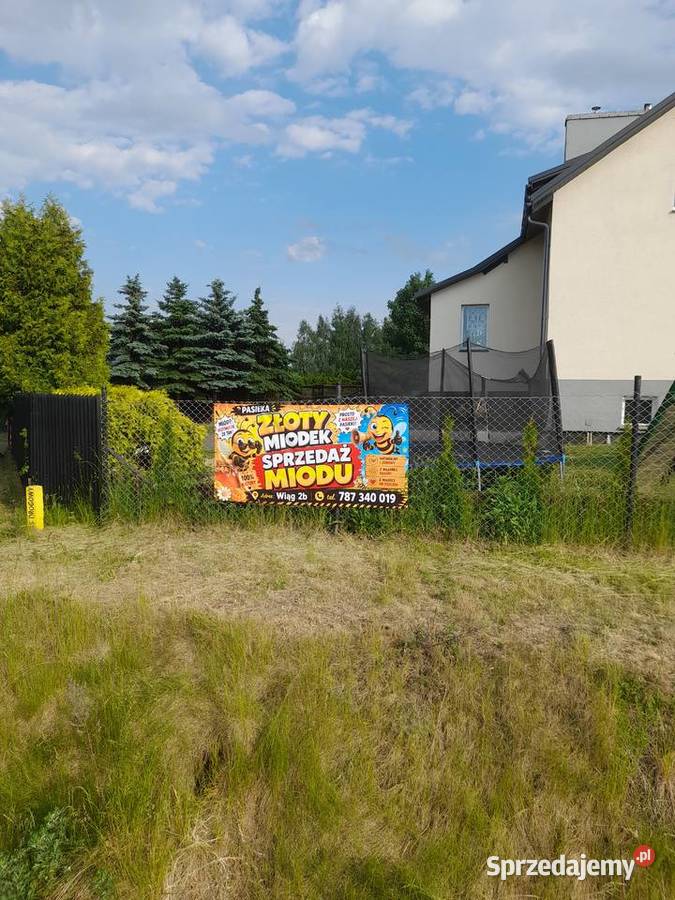 Miód z własnej pasieki Wiąg sprzedam