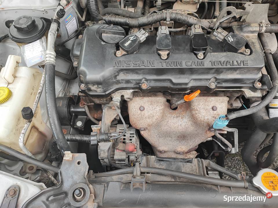 Nissan Almera n16 LPG Sośnie
