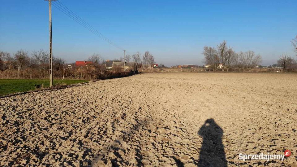 Krotoszynrejon Rawicka działki budowlane 4711051 budowlana Salnia