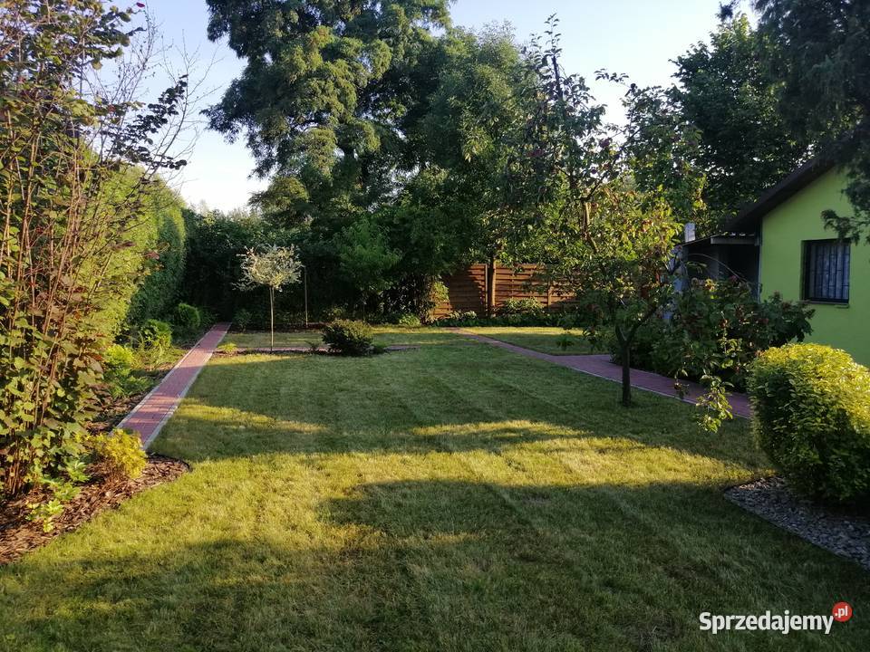 Sprzedam ogródek działkowy Sosnowiec sprzedam