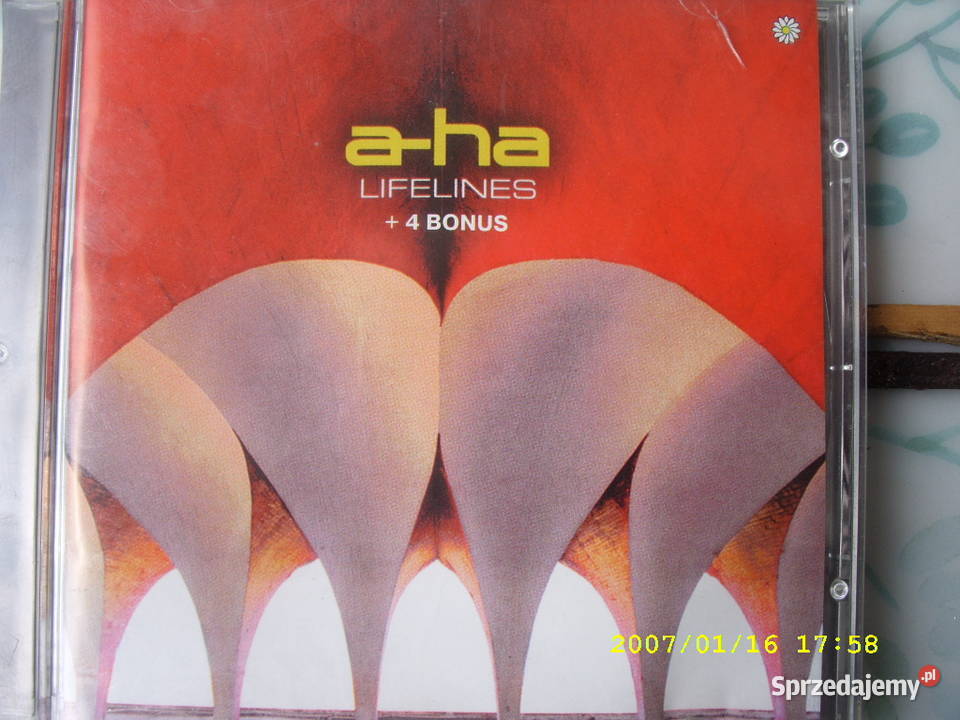 POP CD AHALIFELINES Wołów