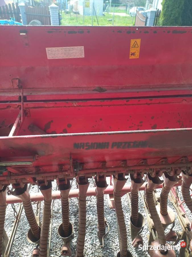 Siewnik podkarpackie Jarosław