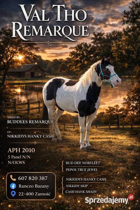 Stanówka Ogier APH lubelskie Zamość