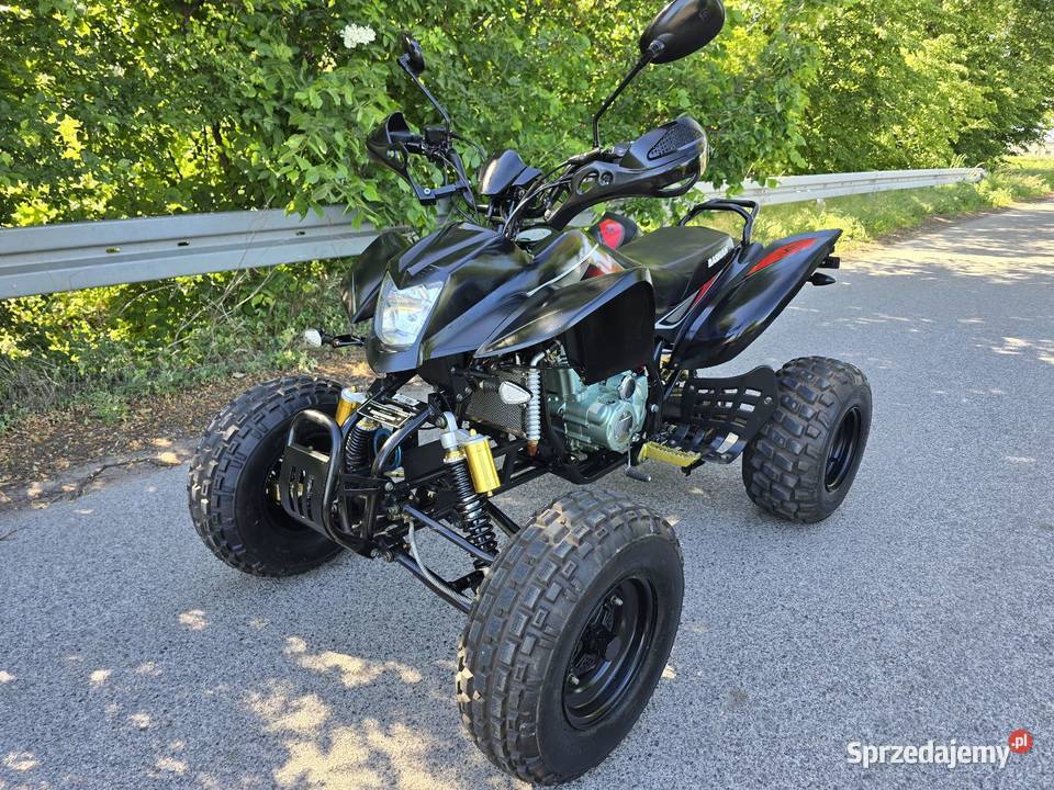 Quad Bashan 250cc Ciecz 41R Kat B Duża Rama Kruszwica