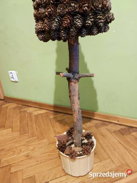 CHOINKA Z SZYSZEK 103 wysoka dolnośląskie Oleśnica sprzedam