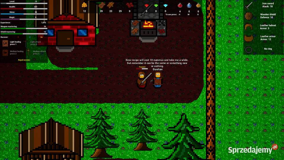 Medieval gate 2D RPG kujawsko-pomorskie