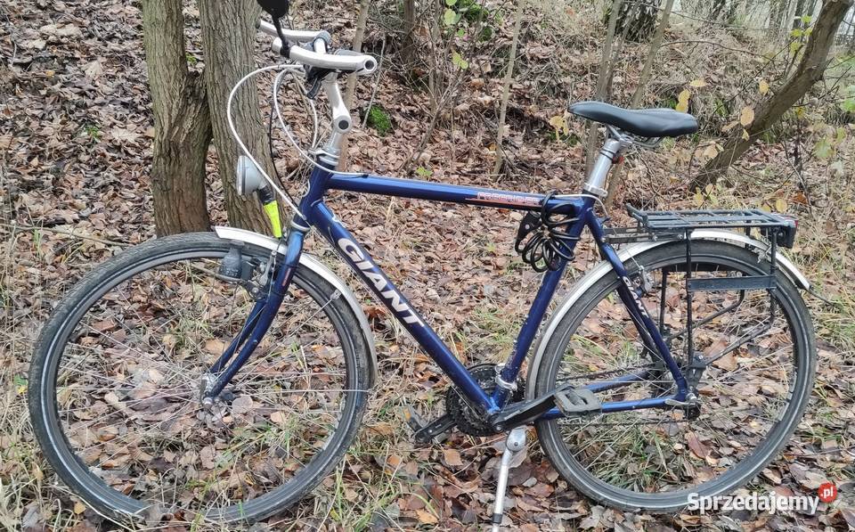 Rower Giant Freerider 28 trekking cross Trekkingowe Tarnowskie Góry