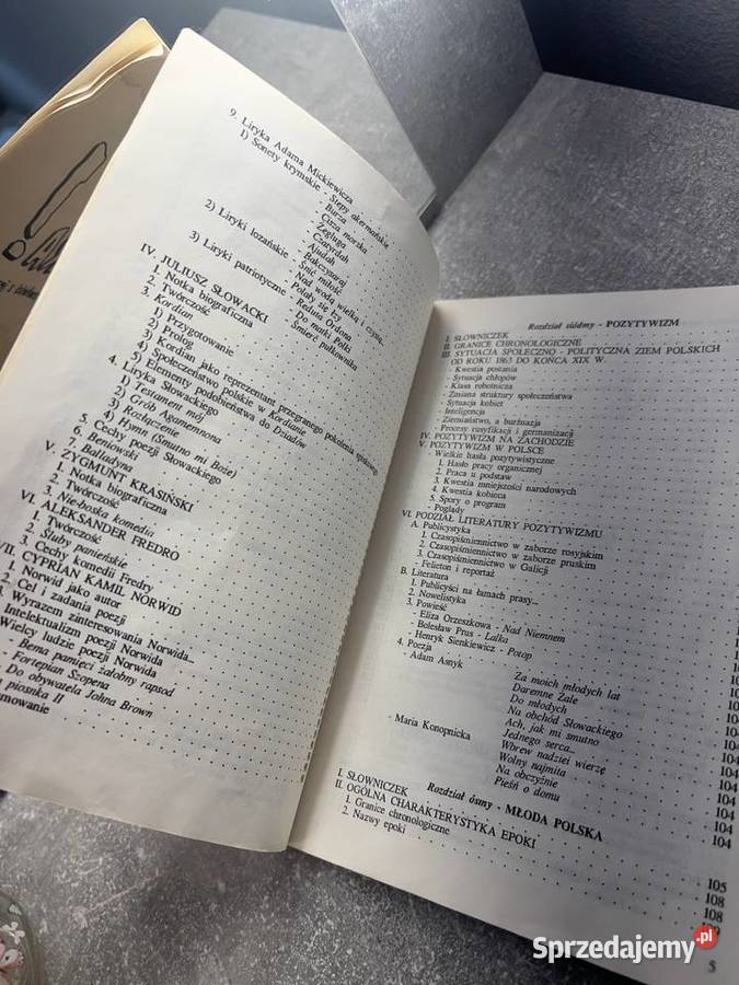Matura Powtórka do egzaminu dojrzałości z języka Kultura i Rozrywka podkarpackie sprzedam