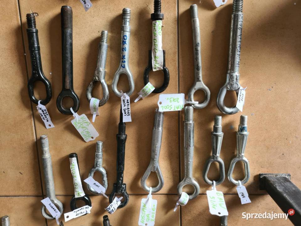 Hak ucho holownicze Lechów