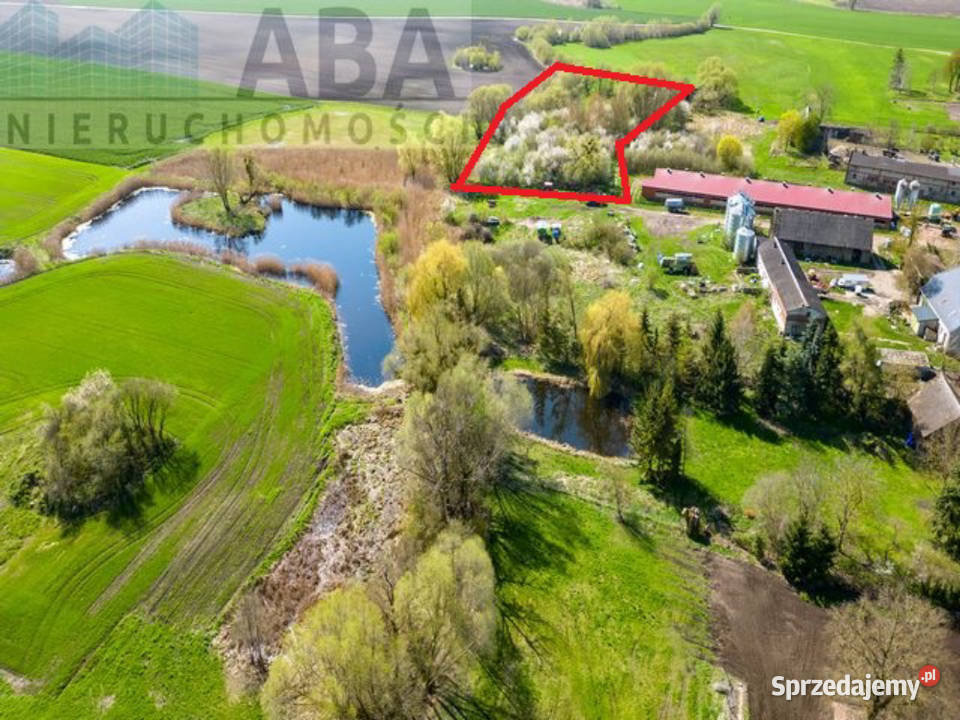 Działka budowlana lasu gm Kiszkowo Turostówko