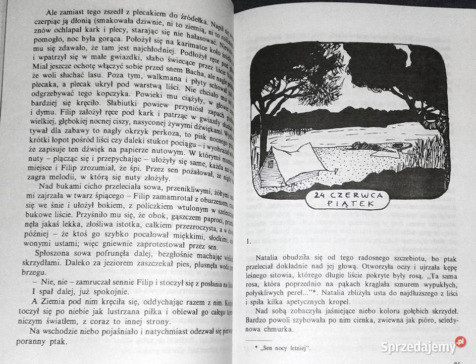 Nutria i Nerwus Małgorzata Musierowicz Chełm