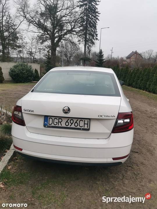 Skoda octavia Wilków