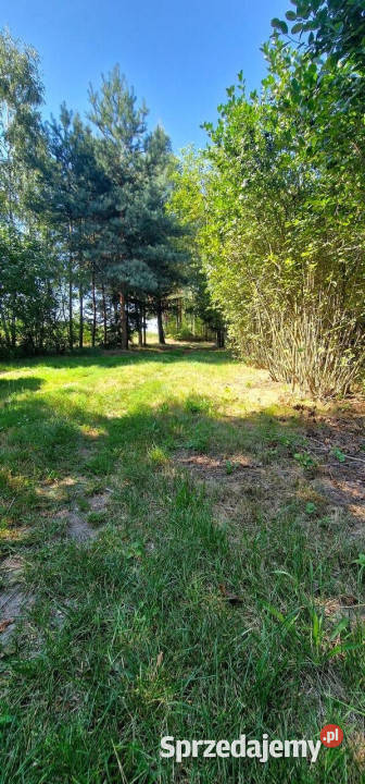 sprzedaży działki 2500 metrów Jeziory 19m